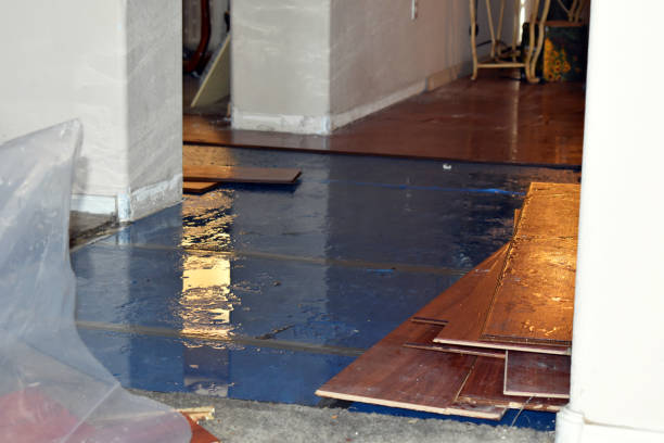 Professional Basement Flood Cleanup technician working in Plano, IL